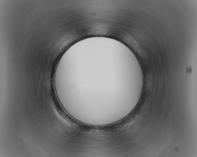 X0000091980538200709271429