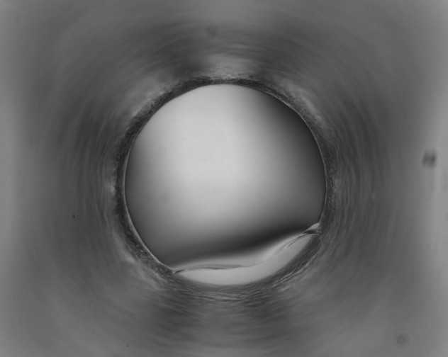 X0000091980539200709271429