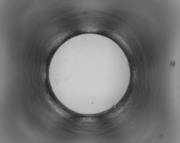 X0000091980541200709271429