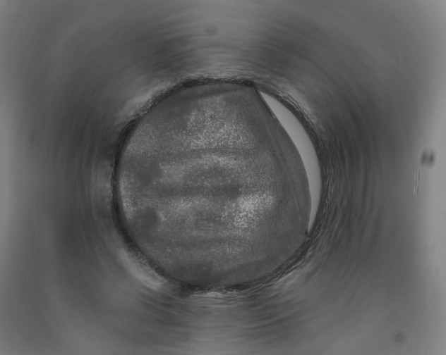 X0000091980542200709271429