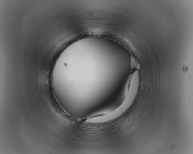 X0000091980543200709271429
