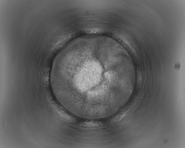 X0000091980545200709271429