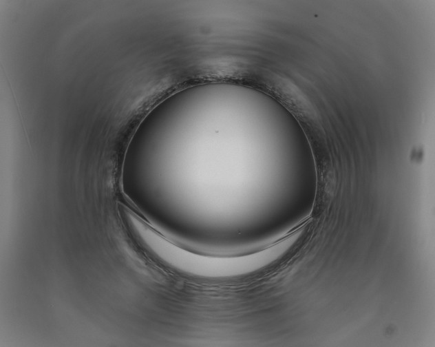 X0000091980546200709271429