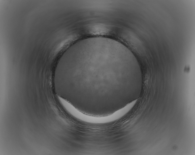 X0000091980547200709271429