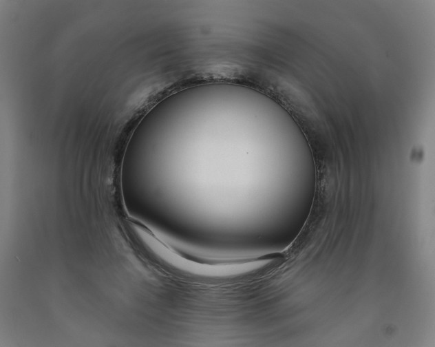 X0000091980548200709271429