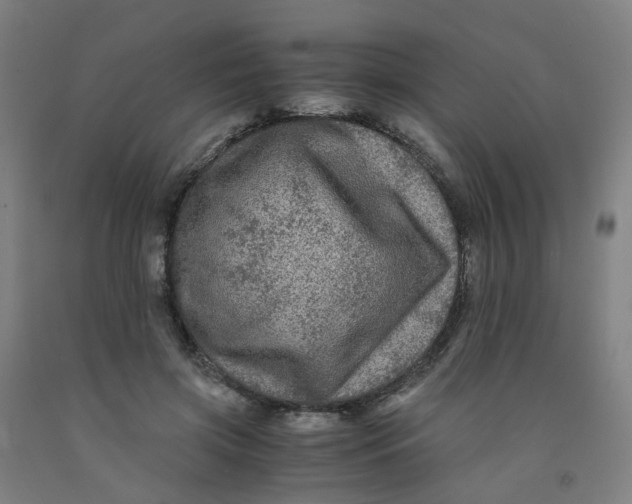 X0000091980549200709271429