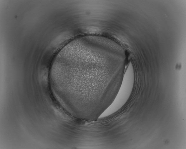 X0000091980550200709271429