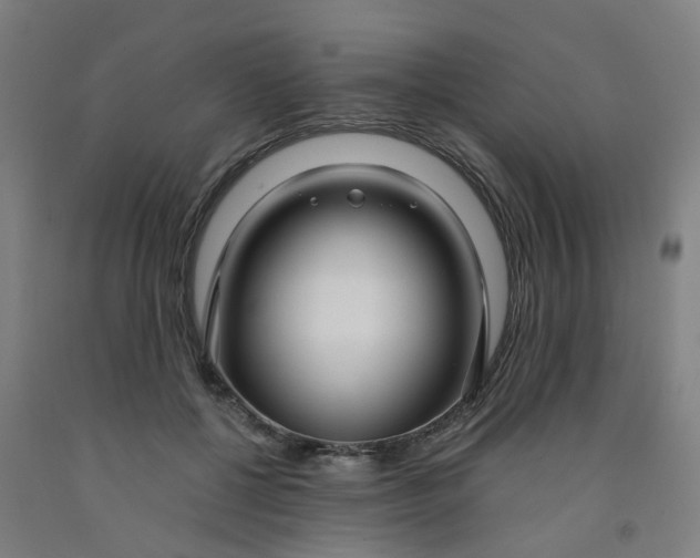 X0000091980552200709271429