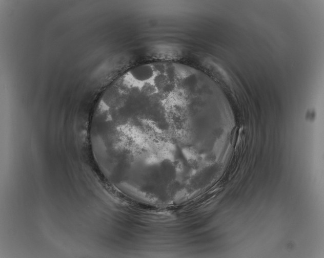 X0000091980553200709271429