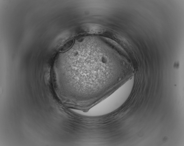 X0000091980554200709271429