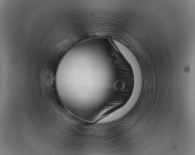 X0000091980555200709271429