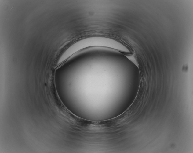 X0000091980556200709271429