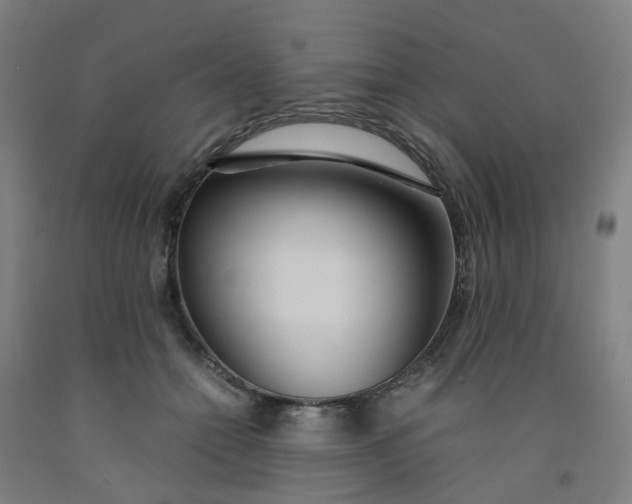 X0000091980558200709271429