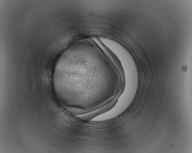 X0000091980559200709271429
