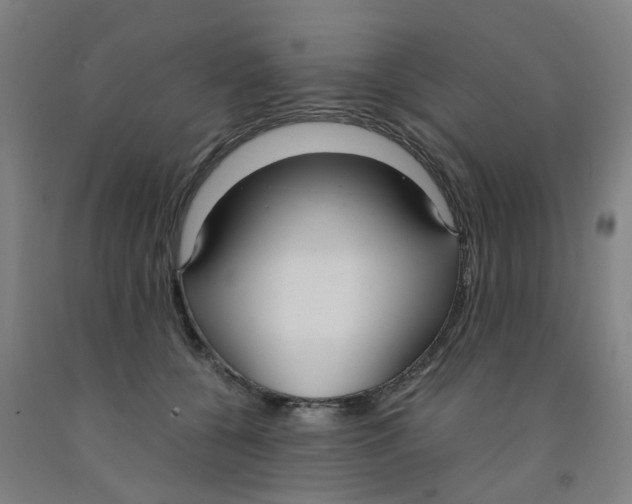 X0000091980560200709271429