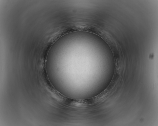 X0000091980563200709271429