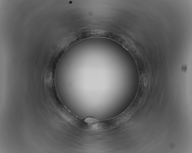 X0000091980564200709271429