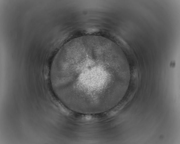 X0000091980565200709271429