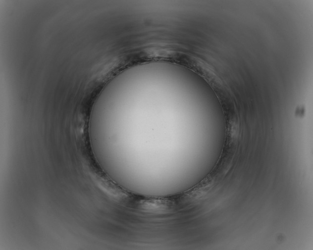 X0000091980567200709271429
