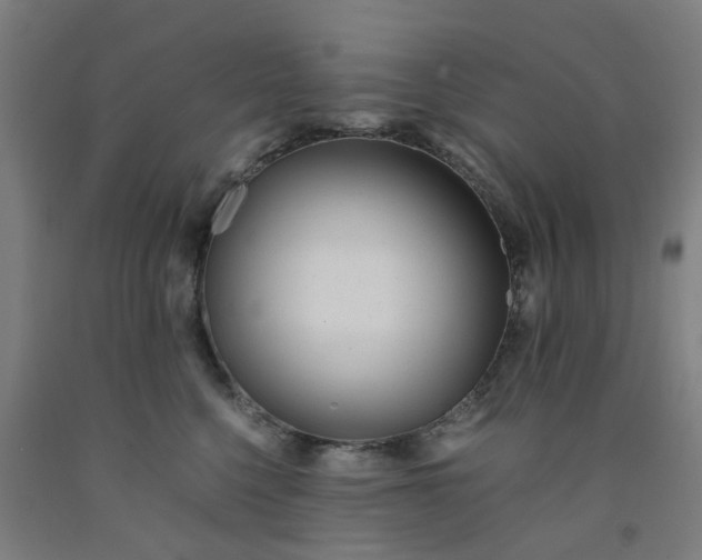 X0000091980568200709271429