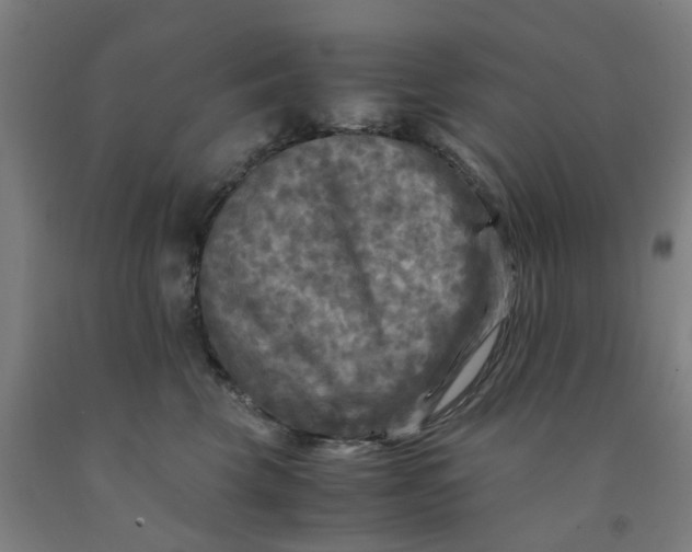 X0000091980569200709271429