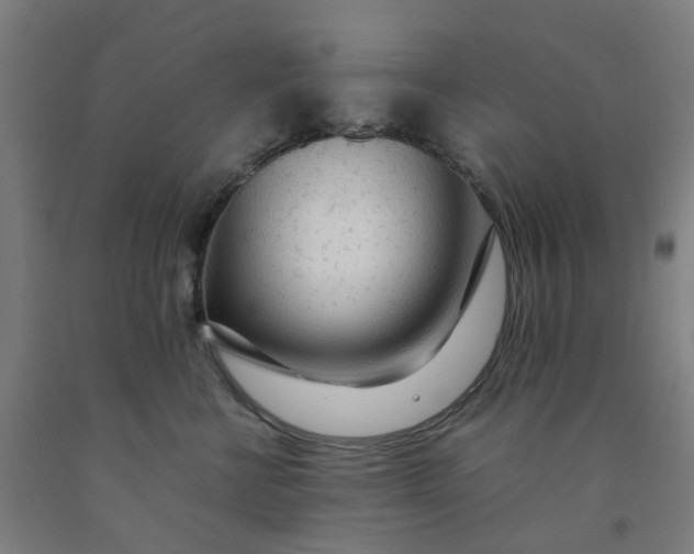 X0000091980570200709271429