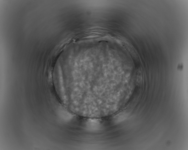 X0000091980573200709271429