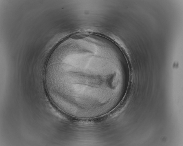 X0000091980577200709271429