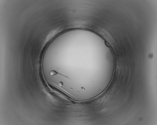 X0000091980578200709271429