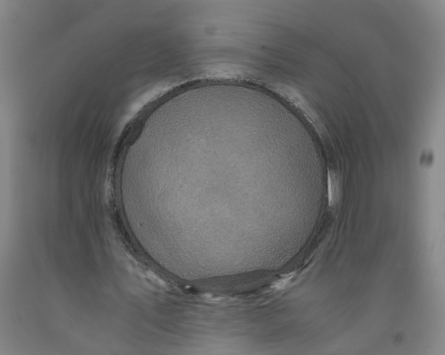 X0000091980579200709271429