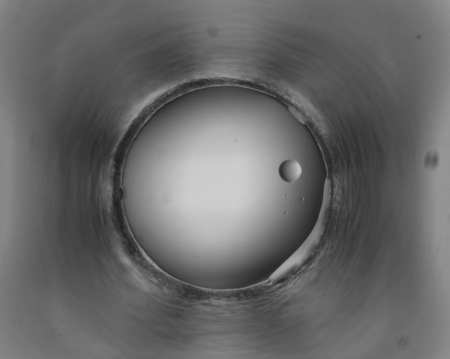 X0000091980580200709271429