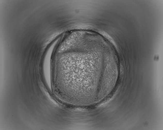 X0000091980581200709271429