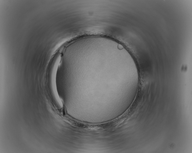 X0000091980583200709271429