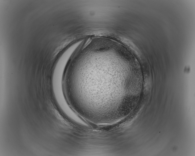 X0000091980585200709271429