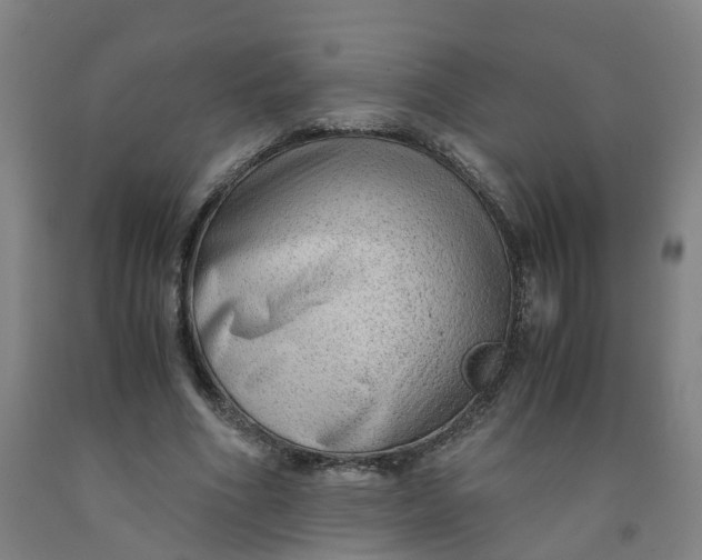 X0000091980586200709271429