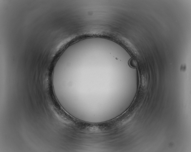 X0000091980588200709271428
