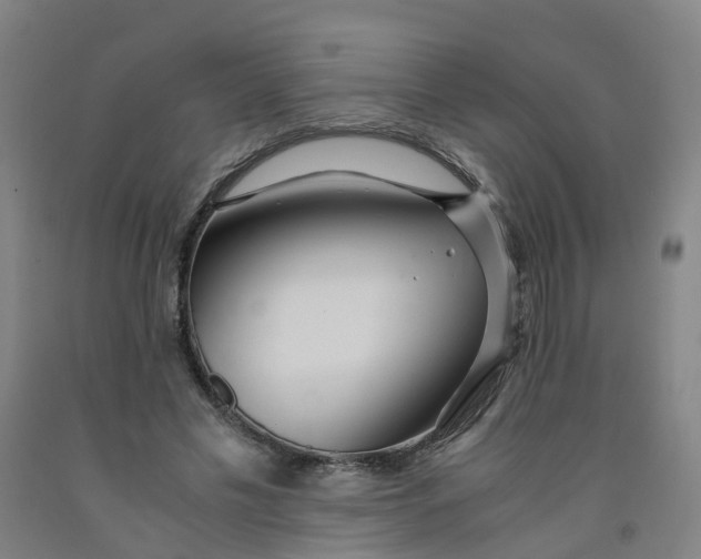 X0000091980589200709271428