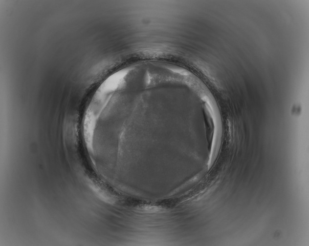 X0000091980590200709271428