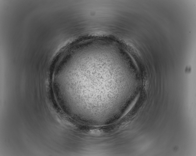 X0000091980591200709271428