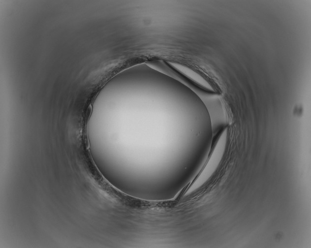 X0000091980593200709271428