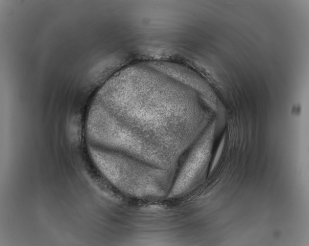 X0000091980594200709271428