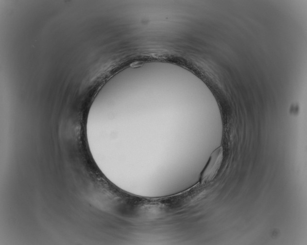 X0000091980595200709271428
