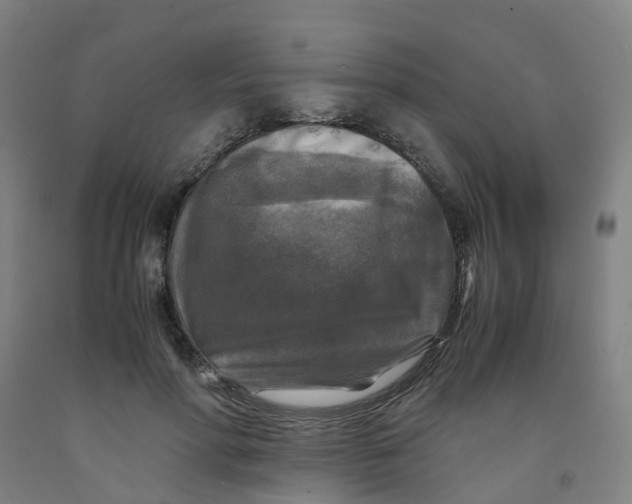 X0000091980598200709271428