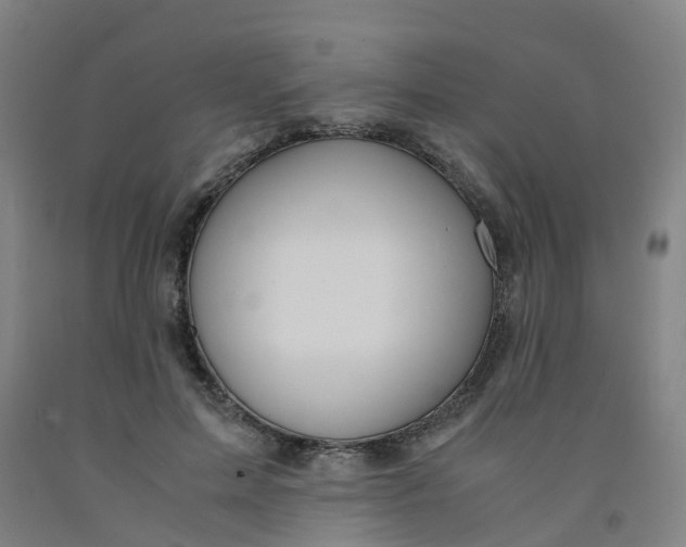 X0000091980599200709271428