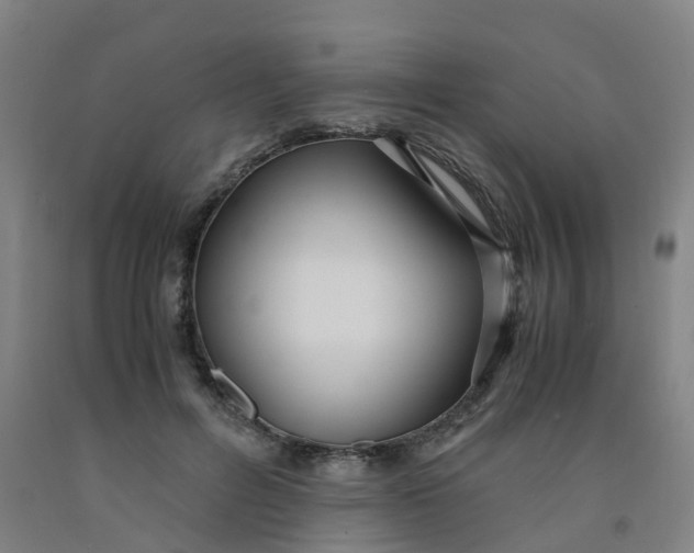 X0000091980600200709271428