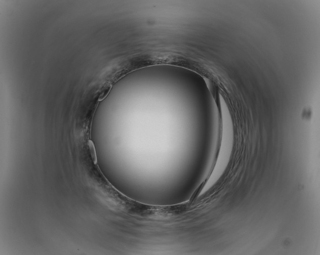 X0000091980601200709271428