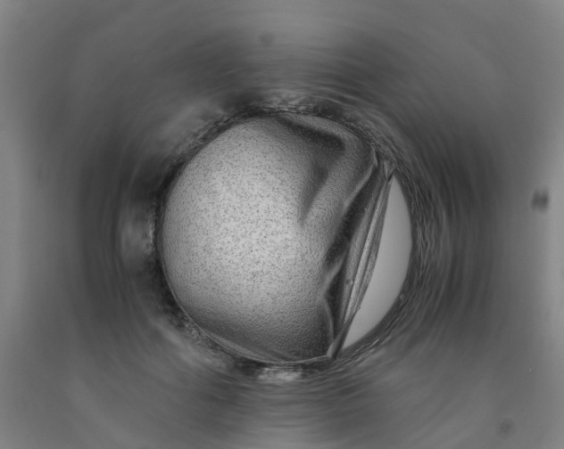 X0000091980602200709271428