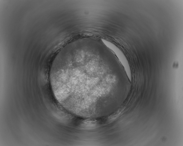 X0000091980606200709271428