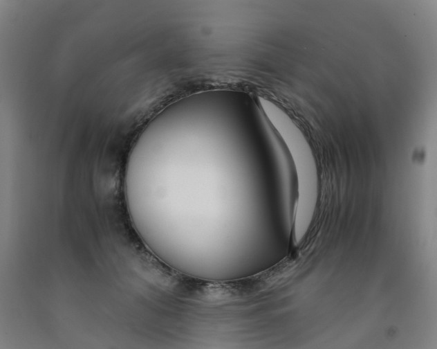 X0000091980608200709271428