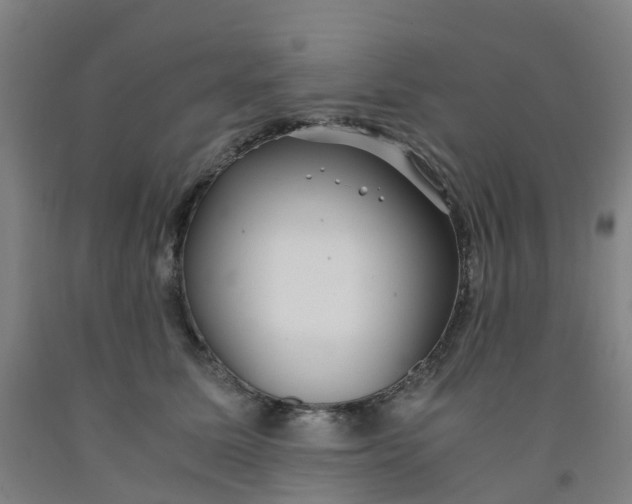 X0000091980611200709271428